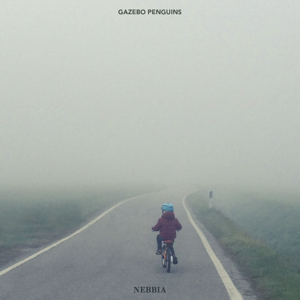 Copertina Nebbia